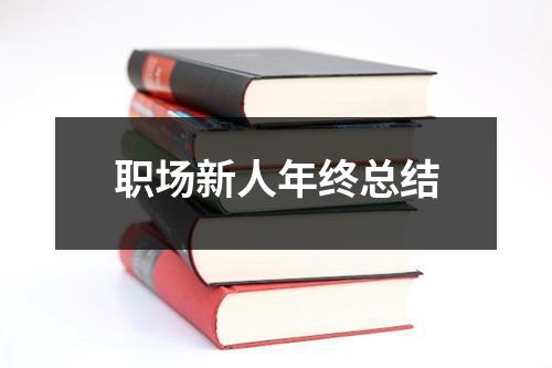 职场新人年终总结