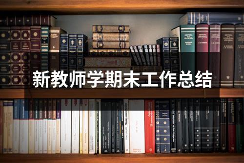 新教师学期末工作总结