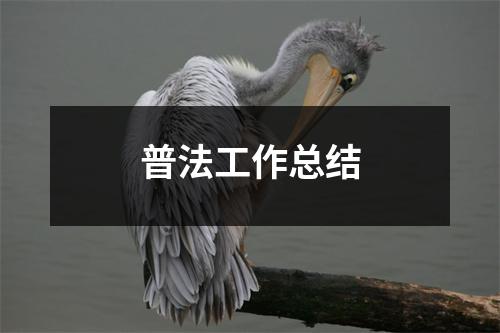 普法工作总结