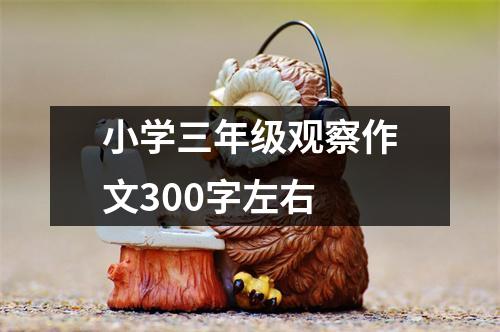 小学三年级观察作文300字左右