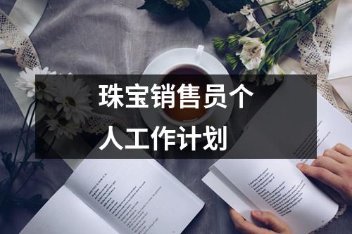 珠宝销售员个人工作计划