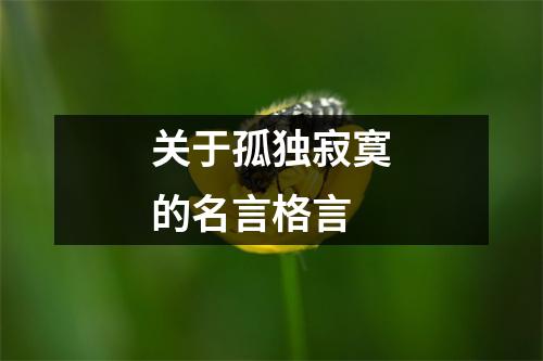 关于孤独寂寞的名言格言