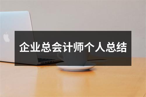 企业总会计师个人总结