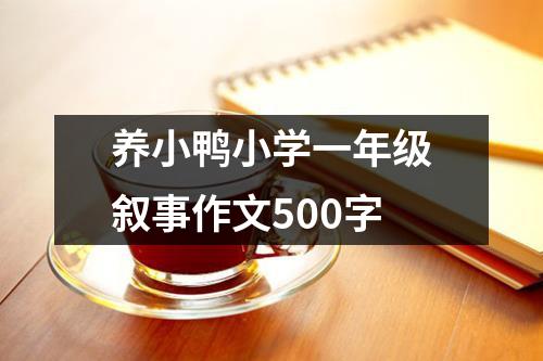 养小鸭小学一年级叙事作文500字