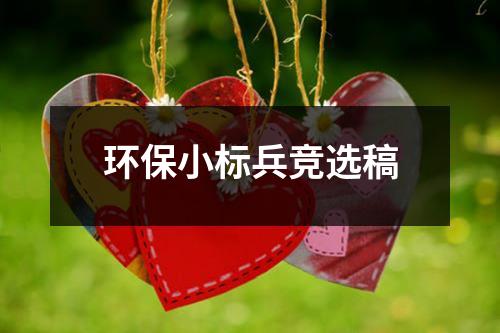 环保小标兵竞选稿