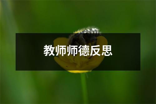 教师师德反思