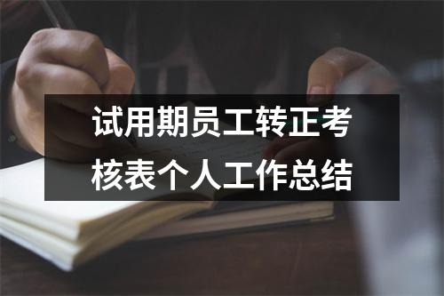 试用期员工转正考核表个人工作总结