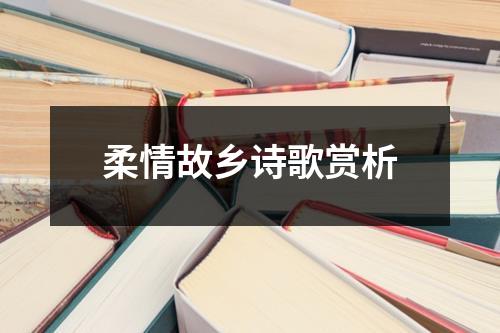 柔情故乡诗歌赏析