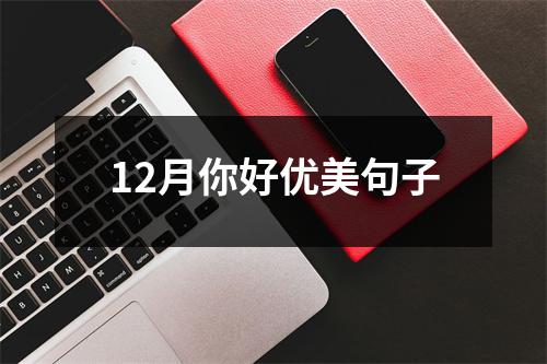 12月你好优美句子