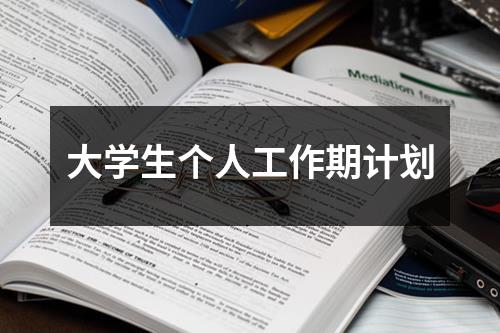 大学生个人工作期计划