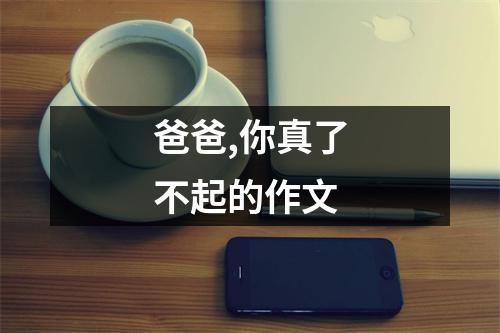 爸爸,你真了不起的作文