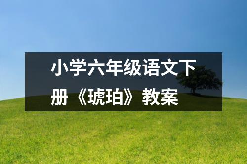 小学六年级语文下册《琥珀》教案