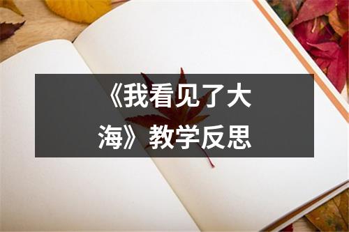 《我看见了大海》教学反思