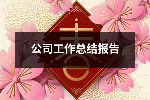 公司工作总结报告