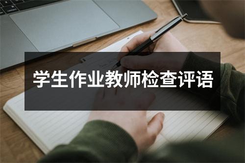 学生作业教师检查评语