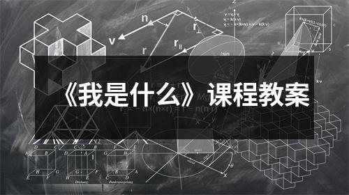 《我是什么》课程教案