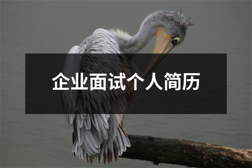 企业面试个人简历