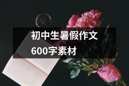 初中生暑假作文600字素材