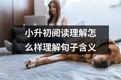 小升初阅读理解怎么样理解句子含义