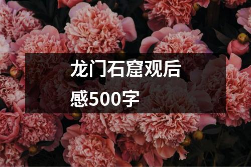 龙门石窟观后感500字