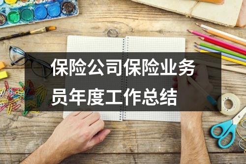 保险公司保险业务员年度工作总结