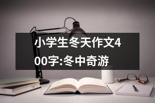 小学生冬天作文400字:冬中奇游