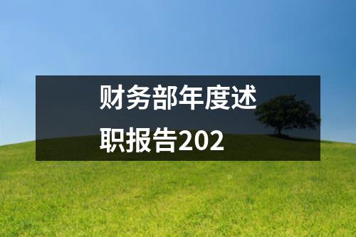 财务部年度述职报告202