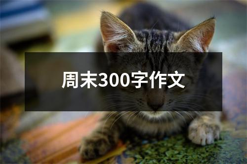 周末300字作文