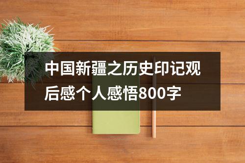 中国新疆之历史印记观后感个人感悟800字