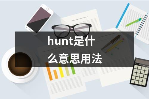 hunt是什么意思用法