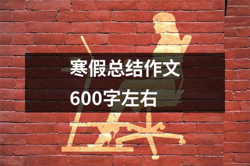 寒假总结作文600字左右