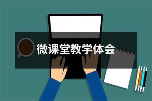 微课堂教学体会