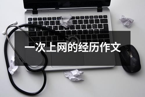 一次上网的经历作文