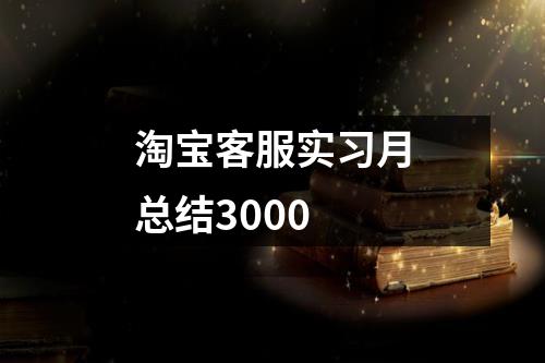 淘宝客服实习月总结3000