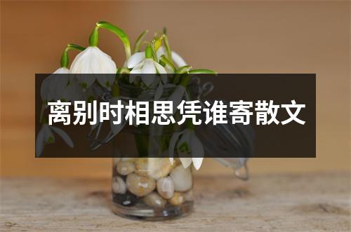 离别时相思凭谁寄散文