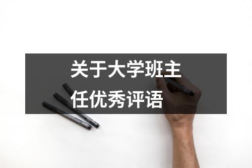 关于大学班主任优秀评语