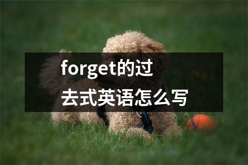 forget的过去式英语怎么写