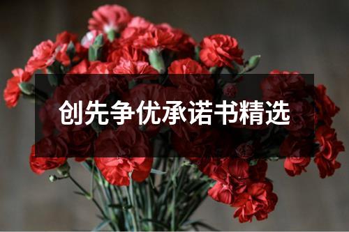 创先争优承诺书精选