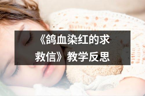 《鸽血染红的求救信》教学反思