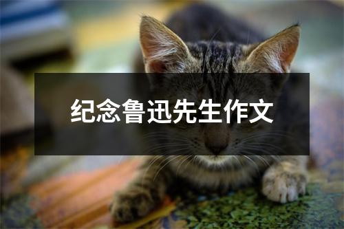 纪念鲁迅先生作文