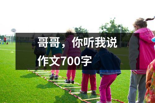 哥哥，你听我说作文700字