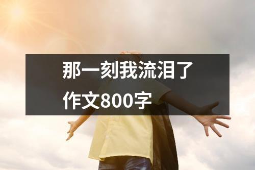 那一刻我流泪了作文800字