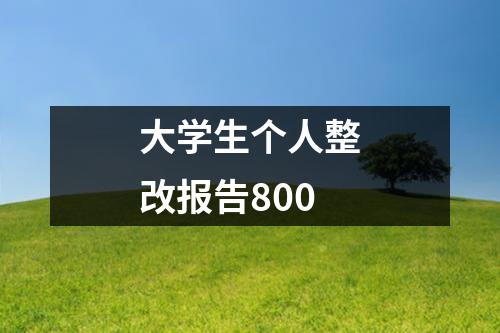 大学生个人整改报告800