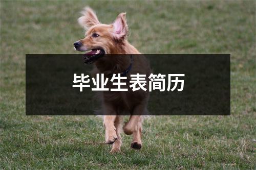 毕业生表简历