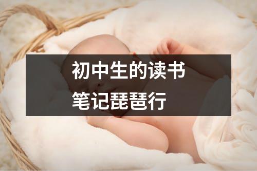 初中生的读书笔记琵琶行