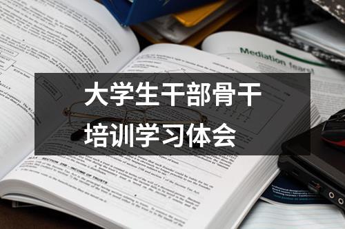 大学生干部骨干培训学习体会