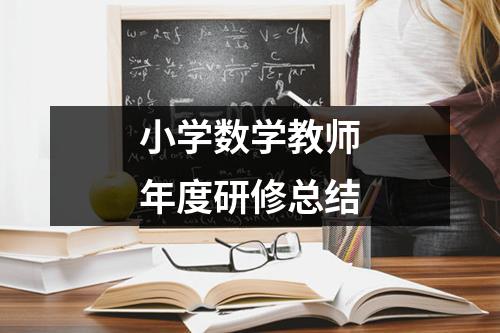 小学数学教师年度研修总结