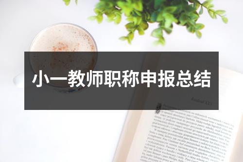 小一教师职称申报总结