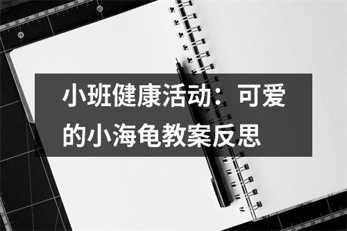 小班健康活动：可爱的小海龟教案反思