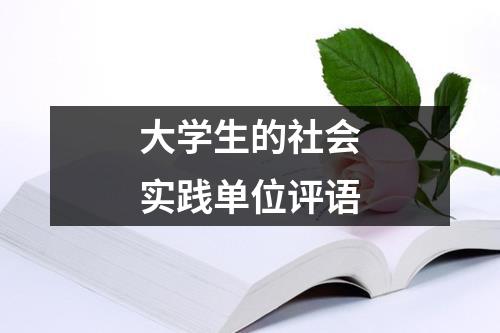 大学生的社会实践单位评语